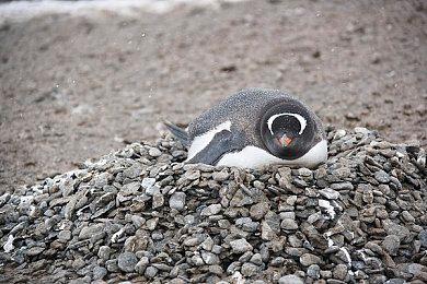 《铁拳8》微交易惹众怒 Steam评价降为多半差评